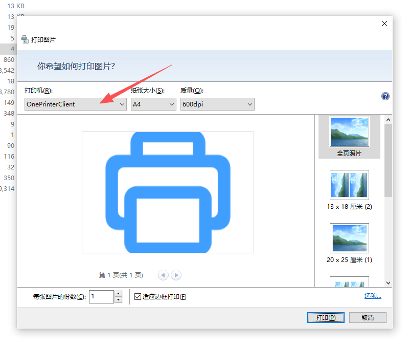 OnePrinterClient预览打印